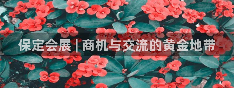 果博公司客服：保定会展 | 商机与交流的黄金地带